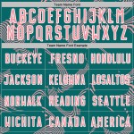 Maillot de sport personnalisé Curve Lines Sublimation Teal Pink-White Medium Soccer